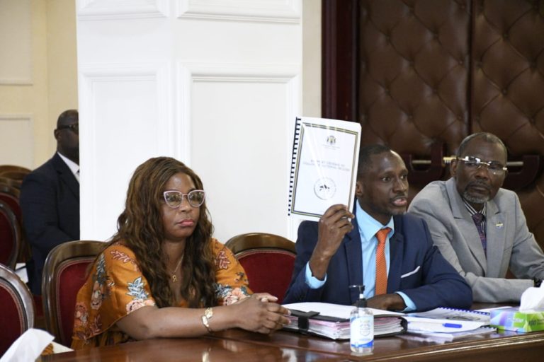 Parti politique : la Cour constitutionnelle déclare irrecevable la requête d’Ariel-Eloi Iwangou