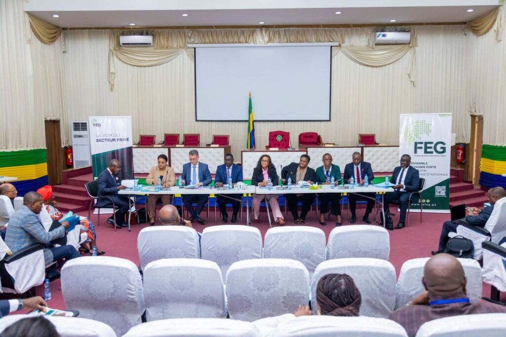 Budget 2027 : le patronat gabonais échange avec le Conseil économique et social