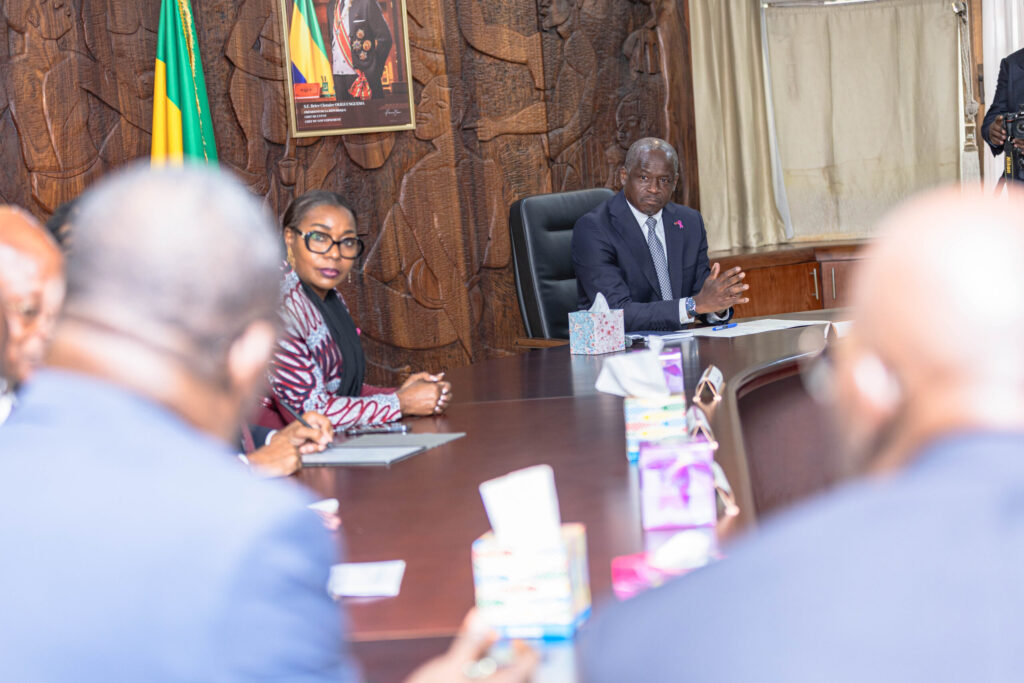 Secteur privé : Pourquoi le Gabon peine-t-il à faire émerger ses entrepreneurs ?