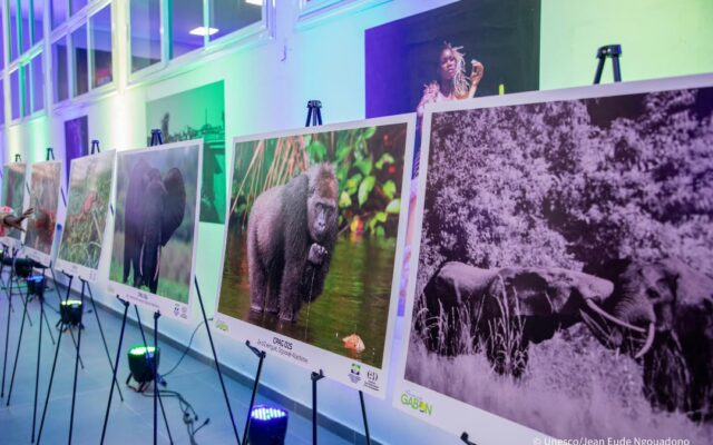 Amazing Gabon : la faune et la flore gabonaises à l’honneur jusqu’au 6 novembre