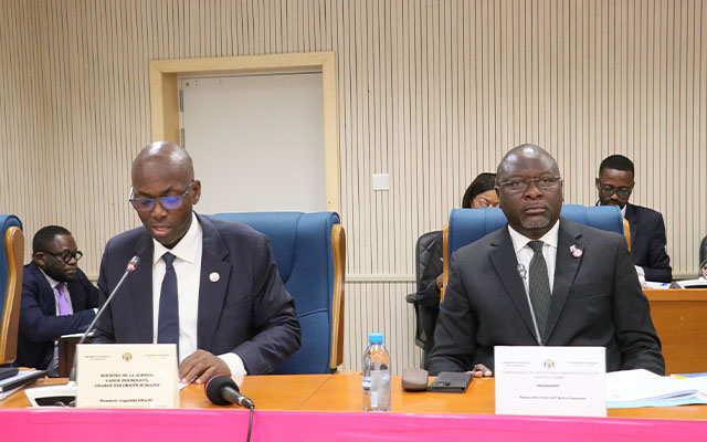 Gabon : Augustin Emane défend la réforme du cadre juridique de la Cour constitutionnelle