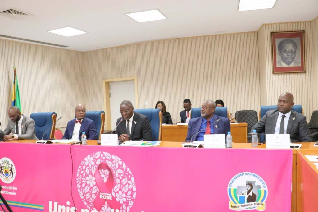 Code pénal & homosexualité : au Gabon, un député propose jusqu’à 10 millions de francs d’amende