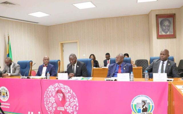 Code pénal & homosexualité : au Gabon, un député propose jusqu’à 10 millions de francs d’amende